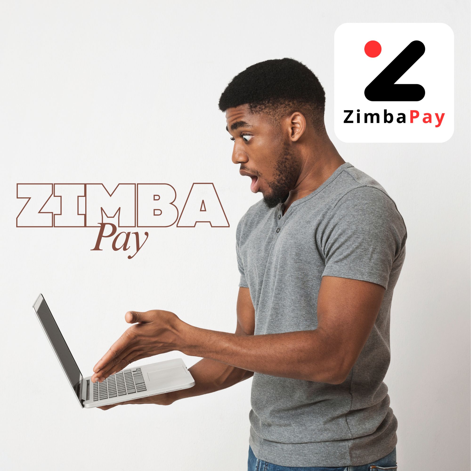 ZimbaPay Mobile POS
